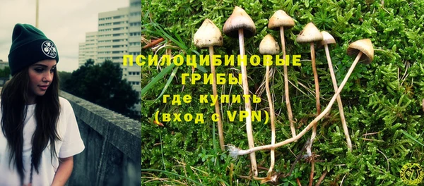 МДПВ Белокуриха
