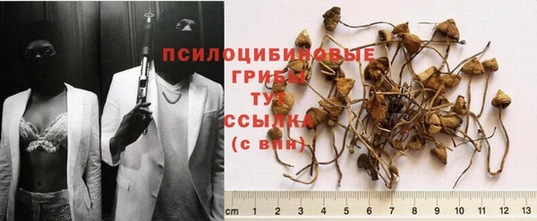 МДПВ Белокуриха